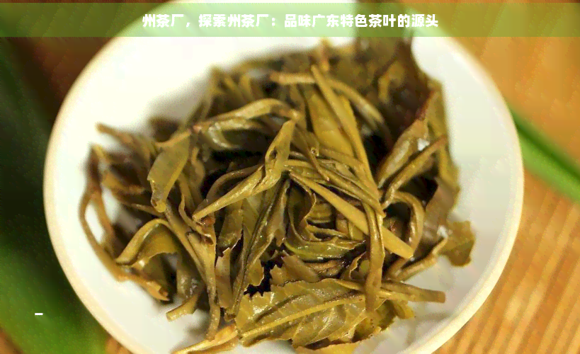 州茶廠 探索廣東特色茶葉的源頭與代理銷售新機遇