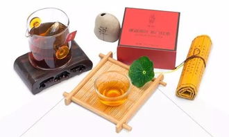 茶韻新篇，共繪未來(lái) 上海唐卡茶鐏國(guó)茶研究院戰(zhàn)略合作，誠(chéng)邀經(jīng)銷商攜手同行