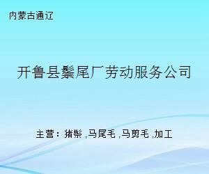 開魯縣鬃尾廠勞動服務公司 搭建專業橋梁，促進高質量就業